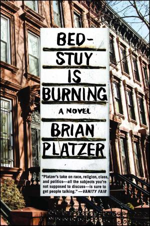Cover of the book Bed-Stuy Is Burning by William Kent Krueger