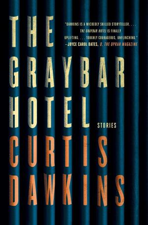 Cover of the book The Graybar Hotel by Matt Kaplan