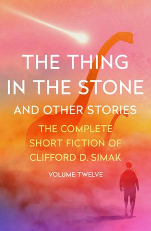 Cover of the book The Thing in the Stone by Deborah Gregory