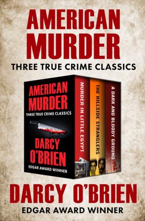 bigCover of the book American Murder by 