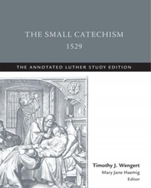Cover of the book The Small Catechism,1529 by Joseph A. Bracken, S.J.