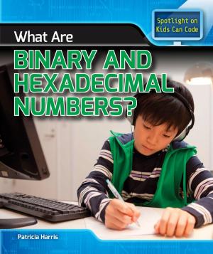 Cover of the book What Are Binary and Hexadecimal Numbers? by J. Elizabeth Mills