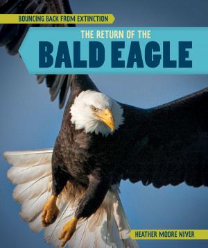 Cover of the book The Return of the Bald Eagle by Barbara Gottfried Hollander