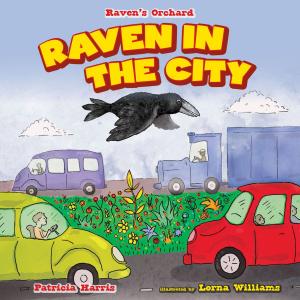 Cover of the book Raven in the City by Anna Southgate, Keith Sparrow