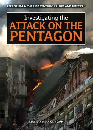 Cover of the book Investigating the Attack on the Pentagon by Paul Challen