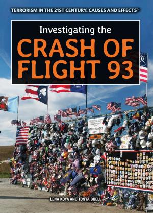 Cover of the book Investigating the Crash of Flight 93 by Lena Koya, Heather Moore Niver