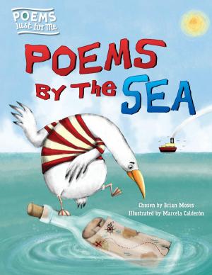 Cover of the book Poems by the Sea by Paul Challen