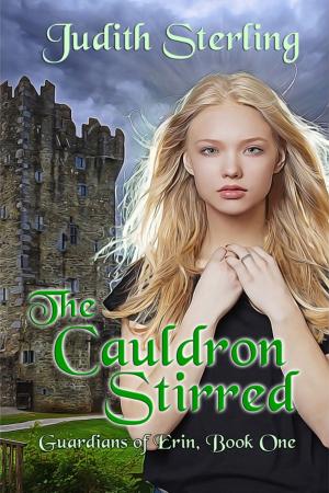 Cover of the book The Cauldron Stirred by C. H. Peery
