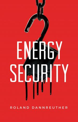 Cover of the book Energy Security by Robert H. Flast, Dennis I. Dickstein