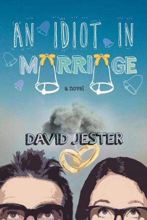 Cover of the book An Idiot in Marriage by Don Burt
