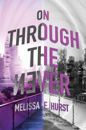 Cover of the book On Through the Never by Skye Melki-Wegner