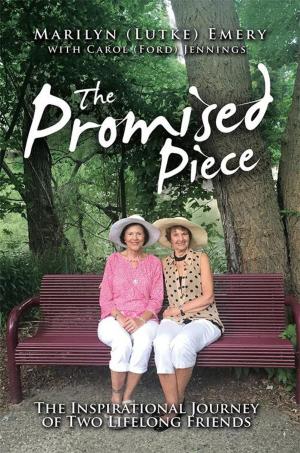Cover of the book The Promised Piece by D.C. Shaw