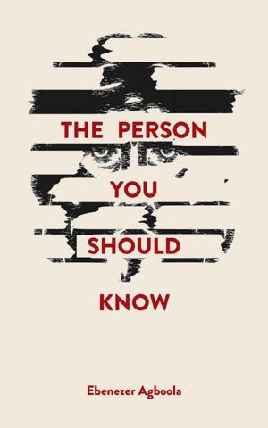 Cover of the book The Person You Should Know by Michael Scott Lowery