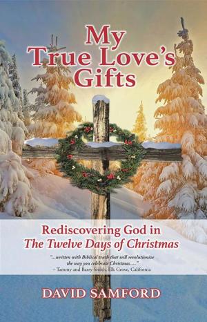 Cover of the book My True Love’s Gifts by Rick Davis