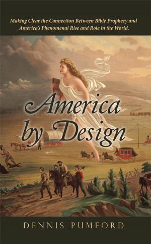 bigCover of the book America by Design by 