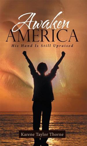 Cover of the book Awaken America by C.E.R. Todd