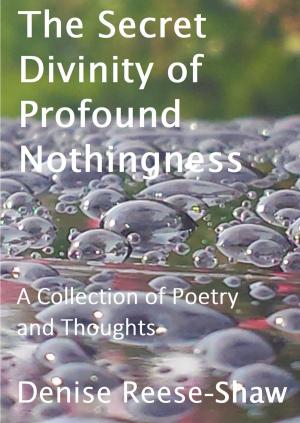 Cover of the book The Secret Divinity of Profound Nothingness by John Archievald Gotera