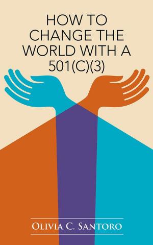 Cover of the book How to Change the World with a 501(C)(3) by Richard Alan Ruof