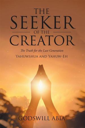 Cover of the book The Seeker of the Creator by Olusola Sophia - Adebayo Anyanwu