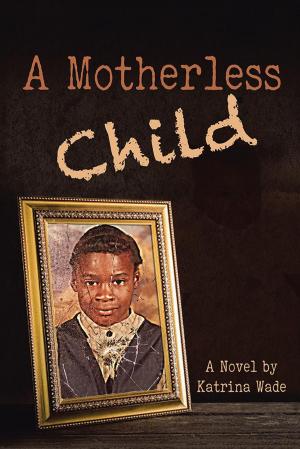 bigCover of the book A Motherless Child by 