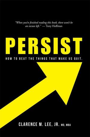 Book cover of Persist