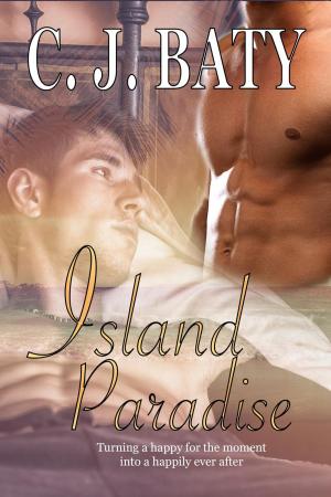 Cover of the book Island Paradise by Christy Wilson