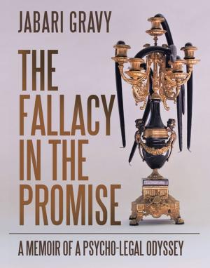 Cover of the book The Fallacy in the Promise by Lisa Stiles Nance