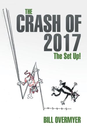 Cover of the book The Crash of 2017 by Richard Reil