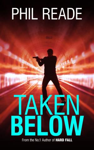 Book cover of Taken Below