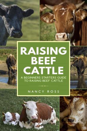 Cover of the book Raising Beef Cattle: A Beginner’s Starters Guide to Raising Beef Cattle by Michael Guerini