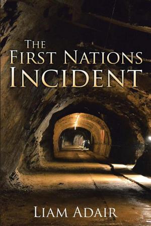 Cover of the book The First Nations Incident by David Cotham