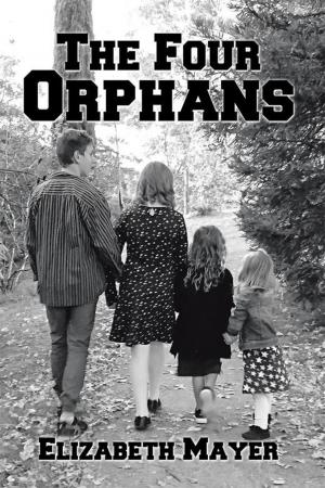 Book cover of The Four Orphans