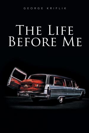 bigCover of the book The Life Before Me by 