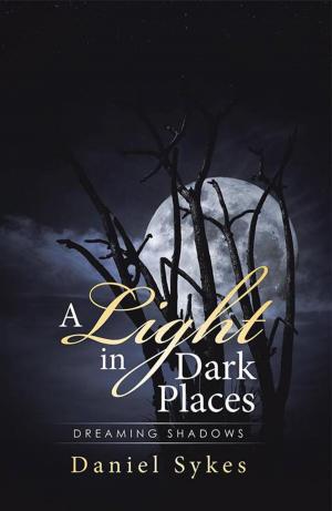 Cover of the book A Light in Dark Places by Danny Guy Lurie
