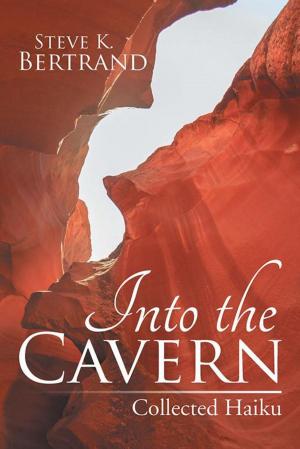 Book cover of Into the Cavern