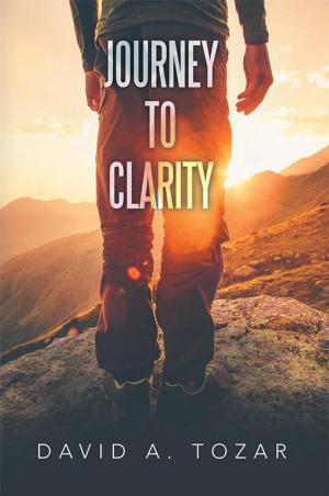 Cover of the book Journey to Clarity by Barbara A. Westmaas