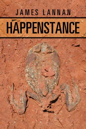 Cover of the book Happenstance by Darrren Henley