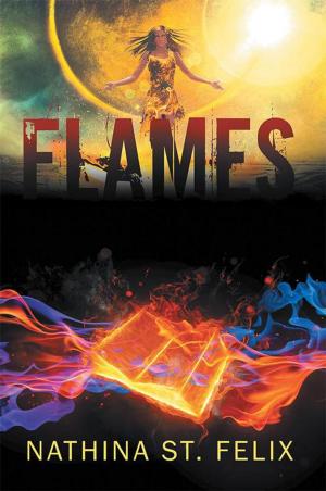 Cover of the book Flames by D. C. Moses