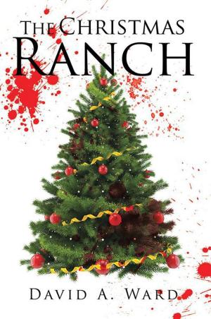 Cover of the book The Christmas Ranch by Lily Starbright