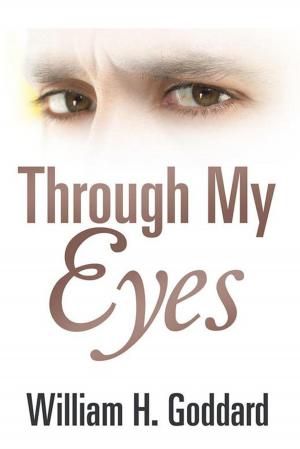Cover of the book Through My Eyes by Barbara A. Seals Nevergold