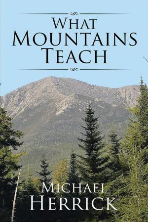 Cover of the book What Mountains Teach by Patricia M. Pellicciotti