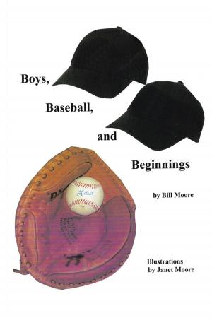 Book cover of Boys, Baseball, and Beginnings