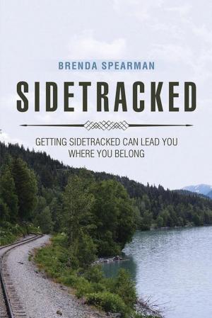 Cover of the book Sidetracked by Ercan Baydogan