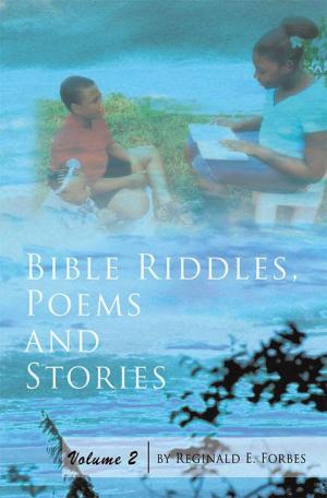 Cover of the book Bible Riddles, Poems and Stories by Warren W. C. Freeman