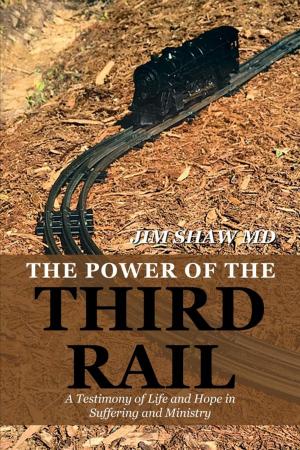 Cover of the book The Power of the Third Rail by Serge Charles Frechette