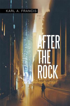 Cover of the book After the Rock by J.N. Sadler