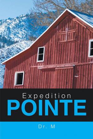 Cover of the book Expedition Pointe by Priscilla Lowell