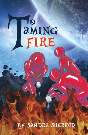 Cover of the book Taming Fire by Daemeon Pratt