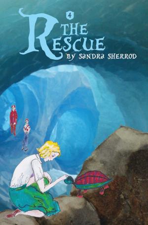 Cover of the book The Rescue by Ed Toolis