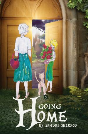 Cover of the book Going Home by Jackie Lee Miles